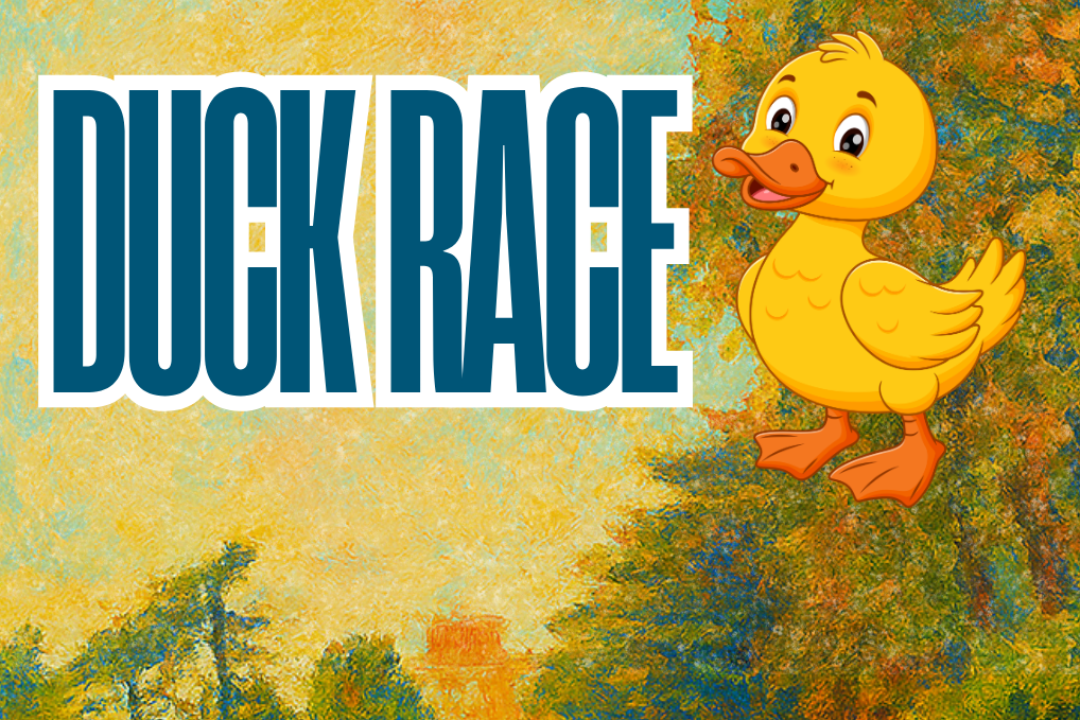 Duck Race